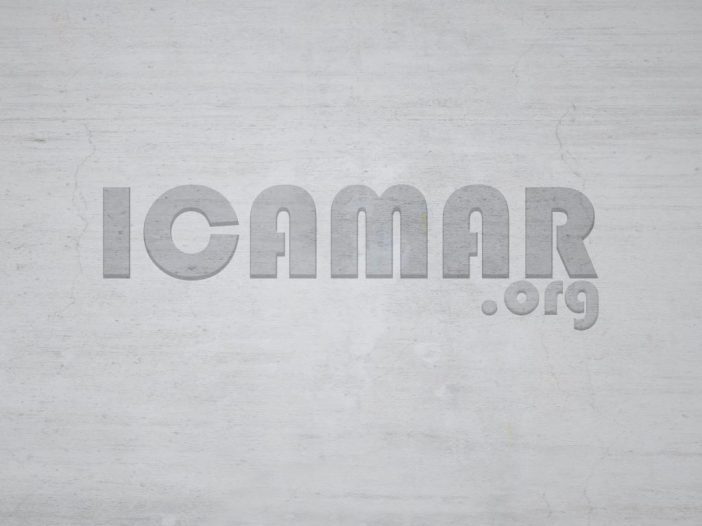 logo ICAMAR