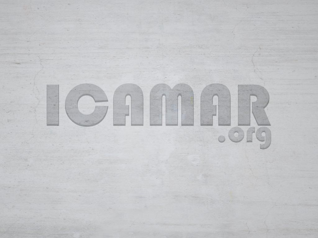 logo ICAMAR