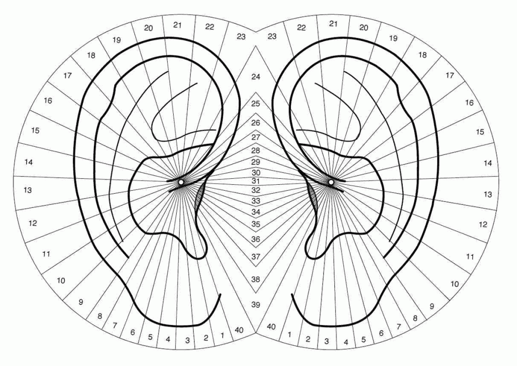 schéma oreille